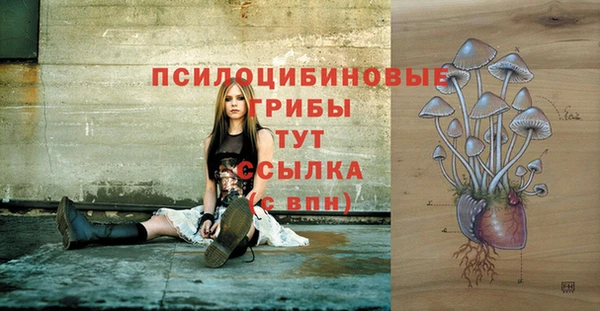 каннабис Арсеньев