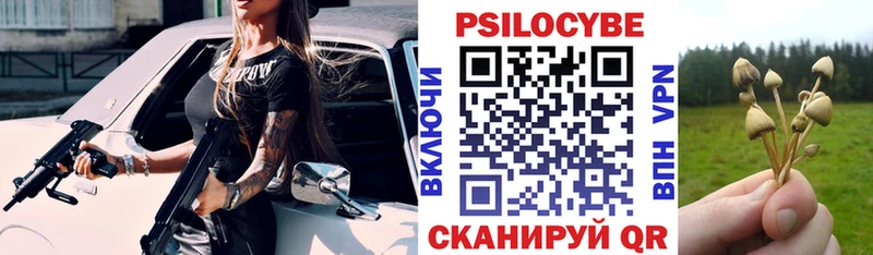 сколько стоит  Партизанск  Галлюциногенные грибы Cubensis 